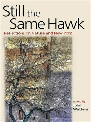 cover image of Still the Same Hawk
